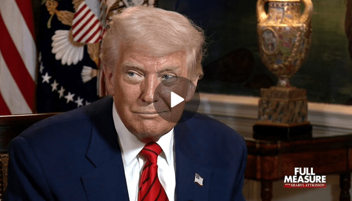 Sanctuary Cities In Florida: Breaking News, Unfiltered! - 814gmcb